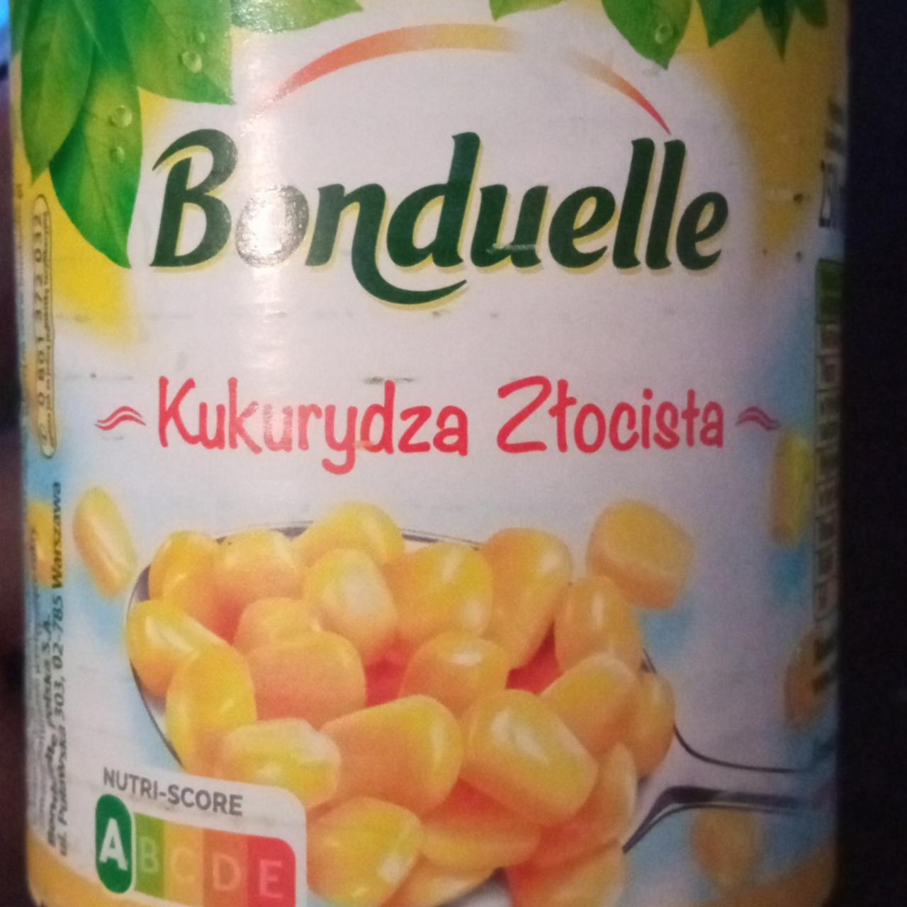 Képek - Olíva zöldségkeverék Bonduelle Créatif