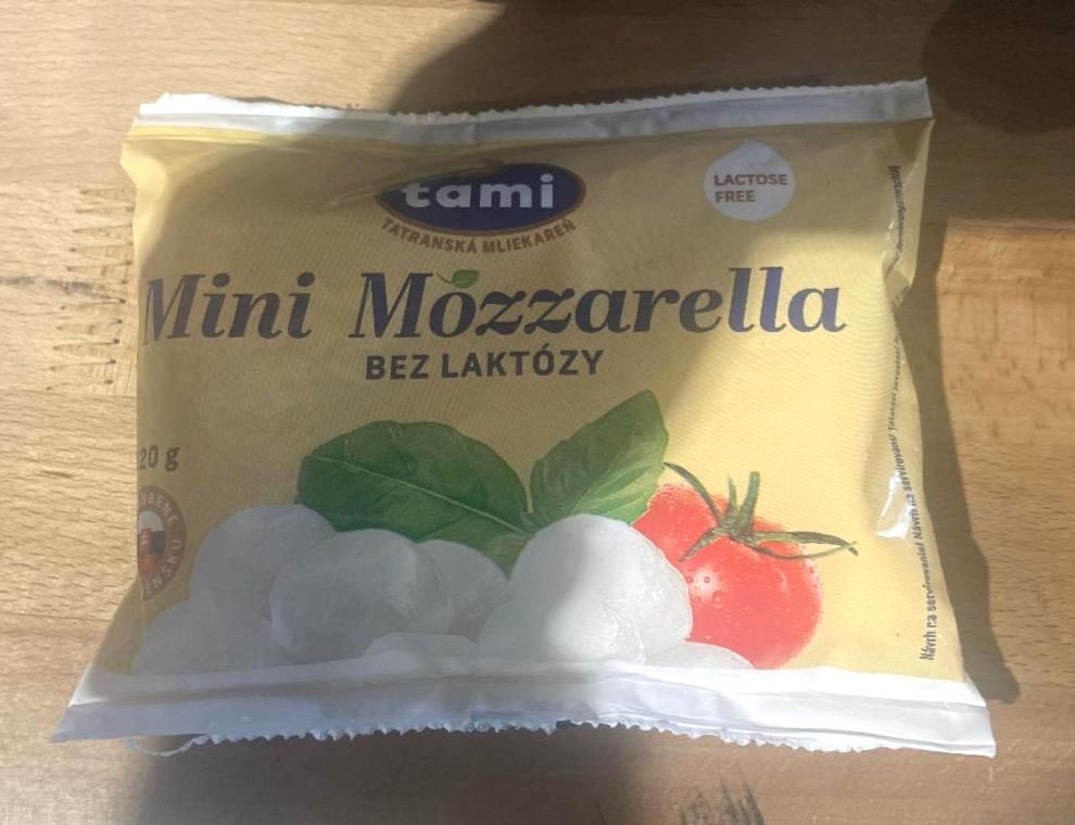 Képek - Mini mozzarella bez laktózy Tami