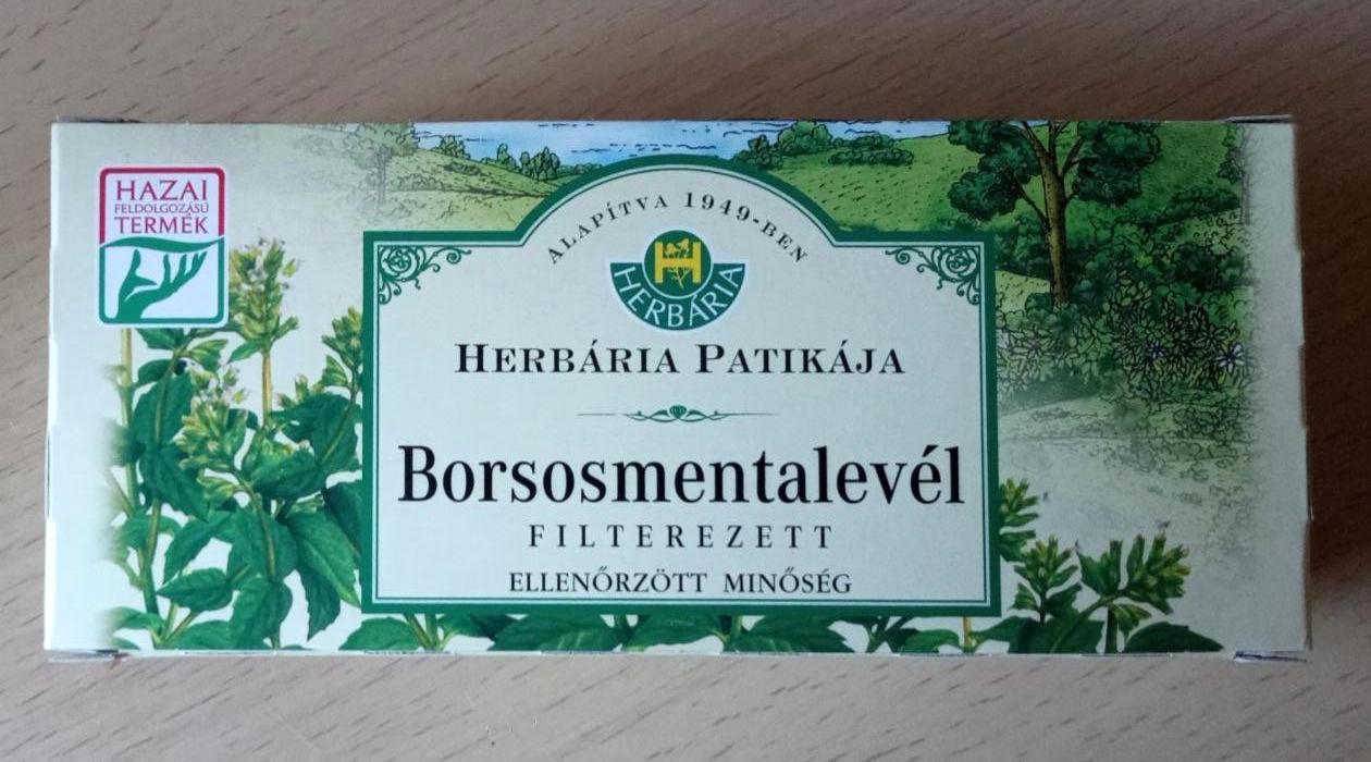 Képek - Borsmentalevél filterezett Herbária