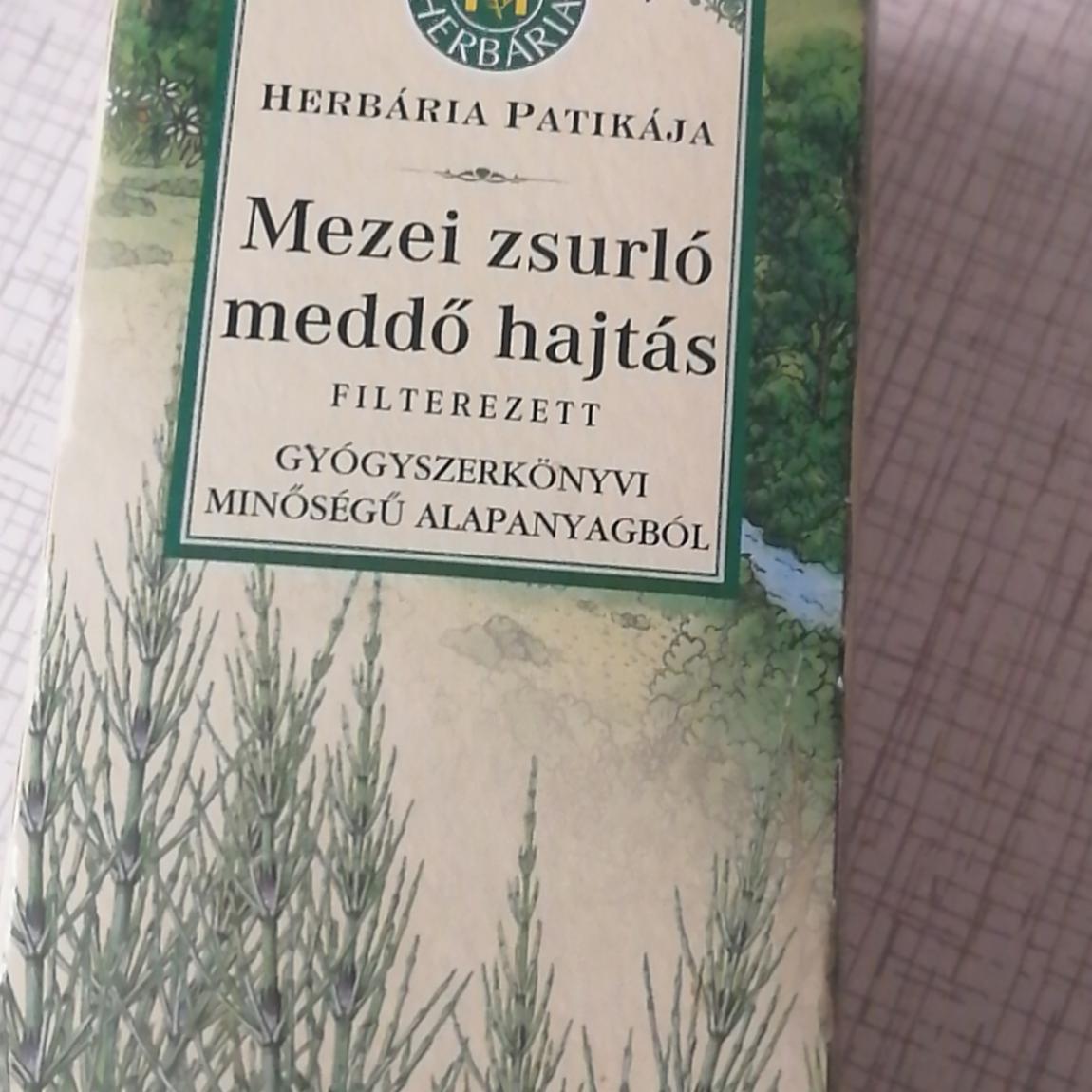 Képek - mezei zsurlófű tea Herbária