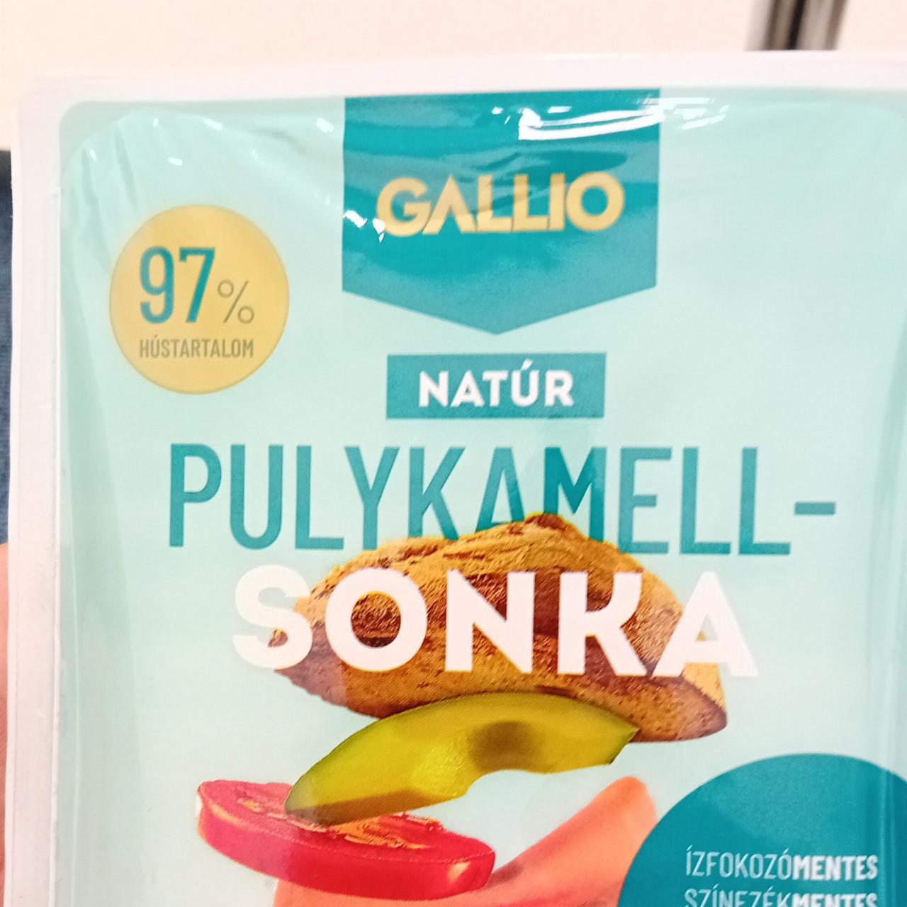 Képek - Natúr pulykamell-sonka Gallio