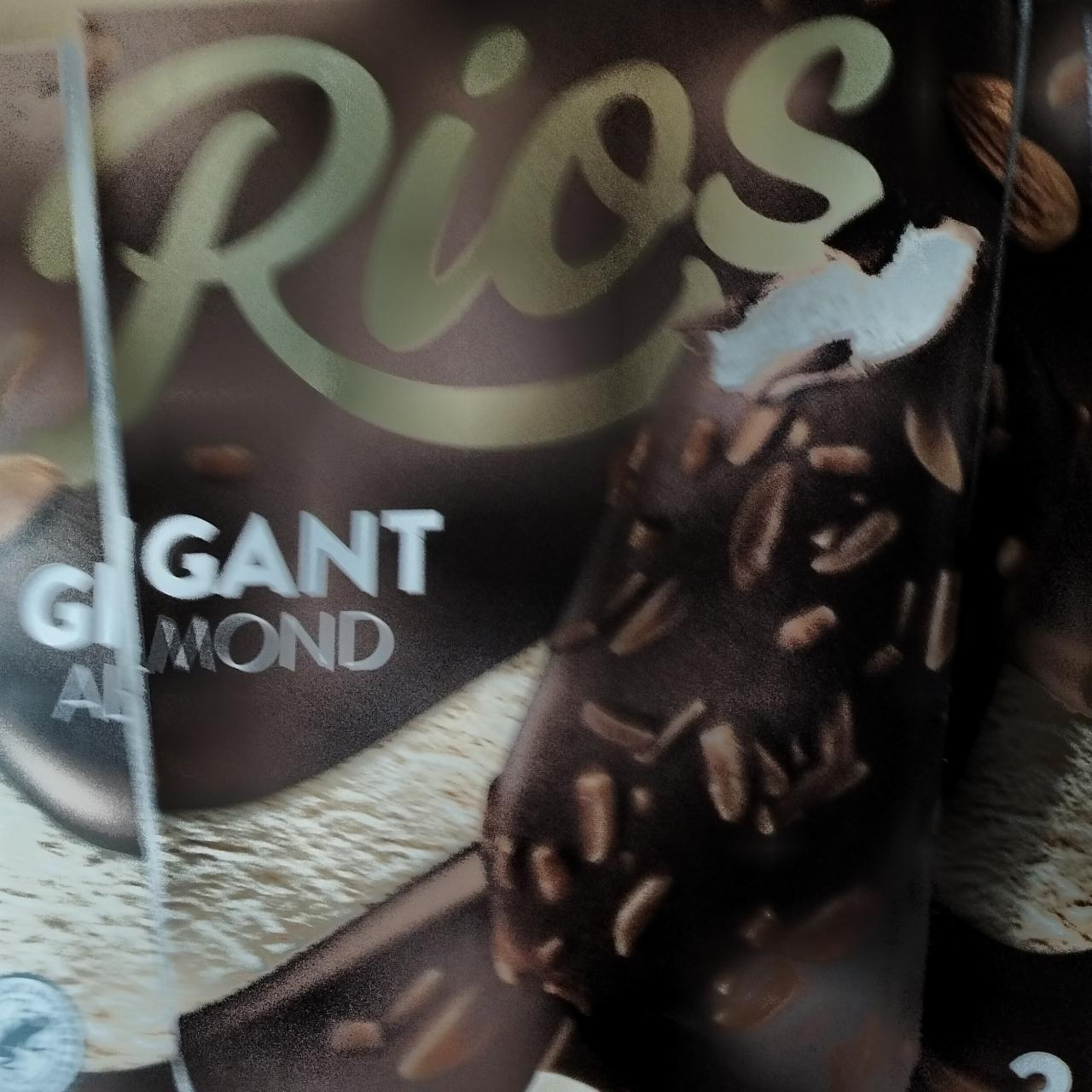 Képek - Gigant Almond Rios