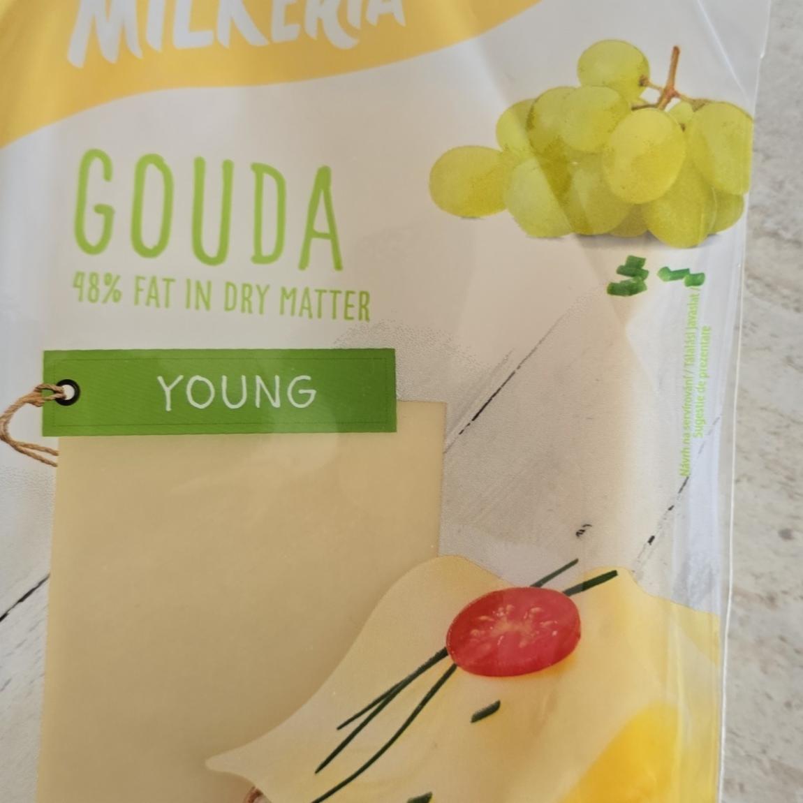 Képek - Gouda young 48% Milkeria