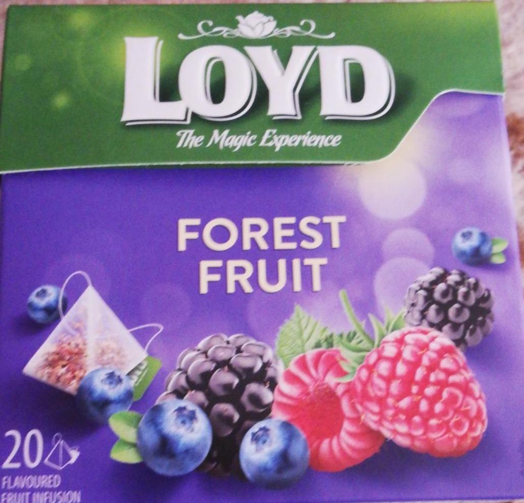 Képek - Forest Fruit Loyd