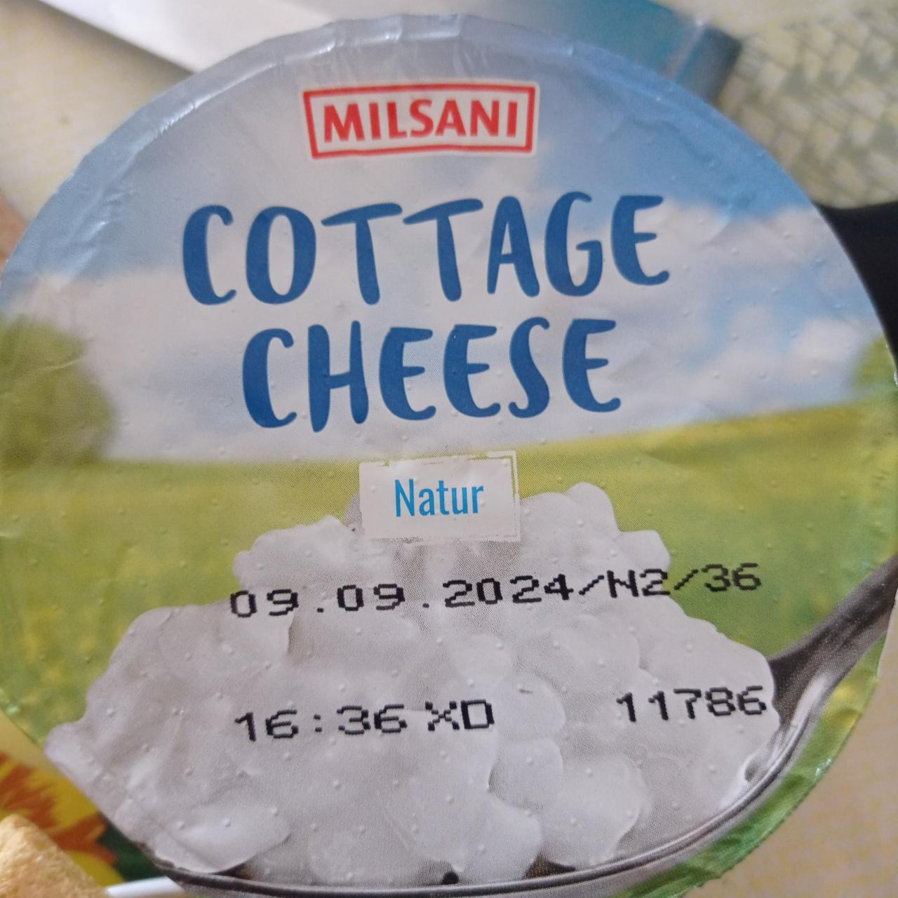 Képek - Cottage cheese natúr Milsani