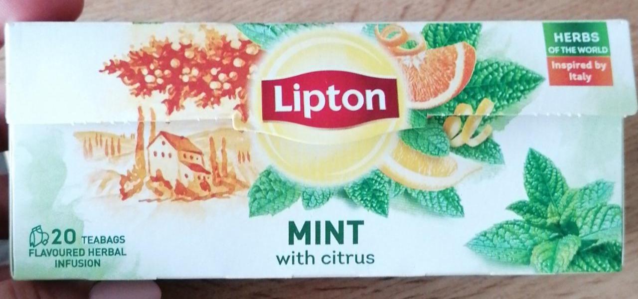 Képek - Mint with citrus Lipton