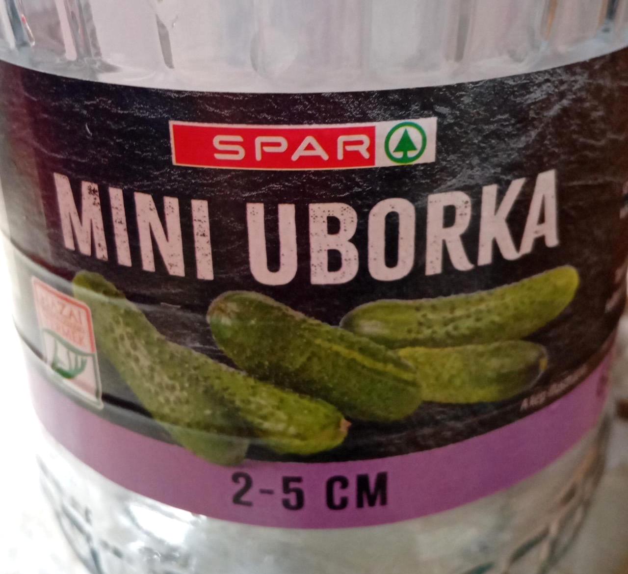 Képek - Mini uborka Spar