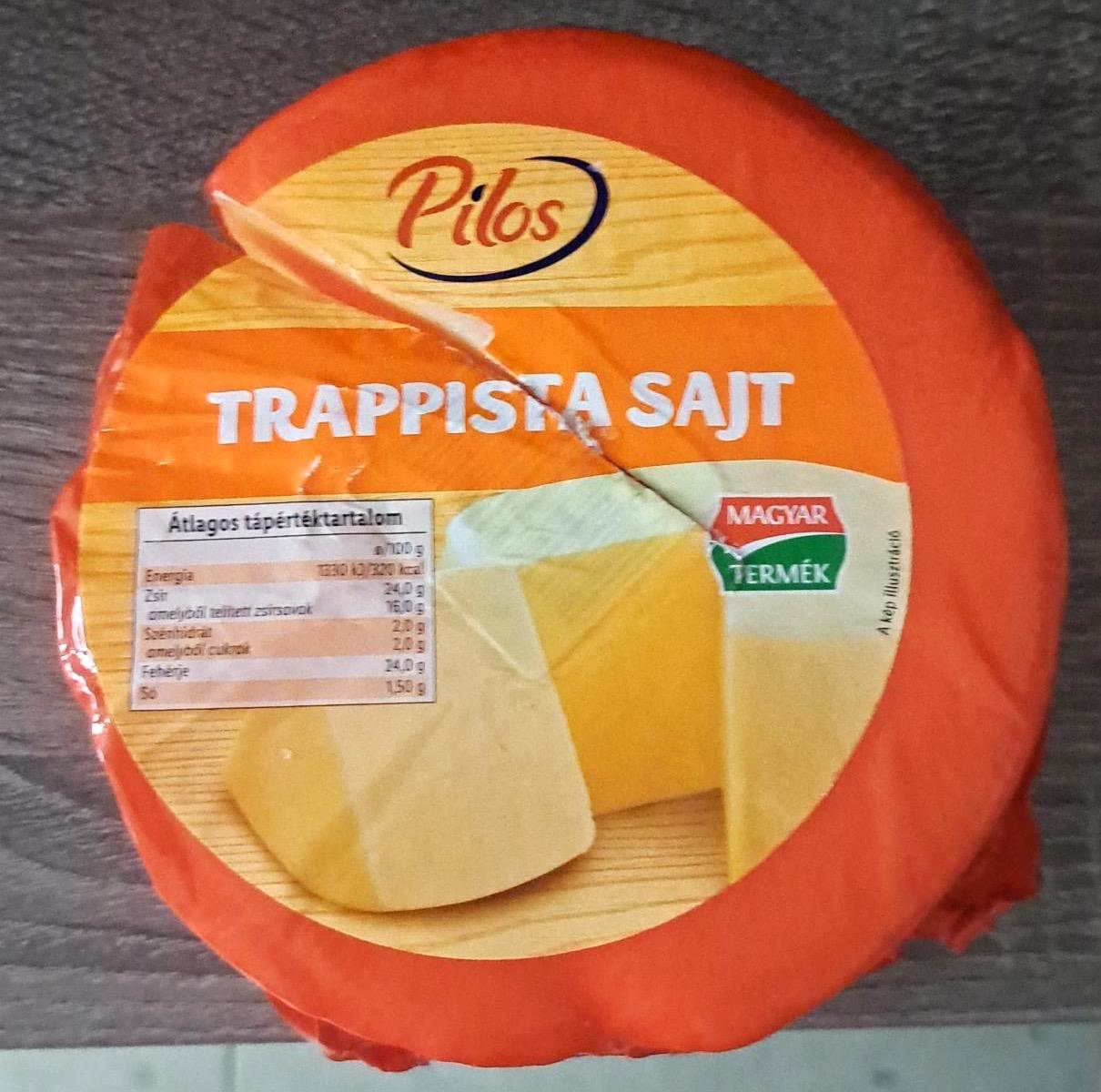 Képek - Trappista sajt Pilos