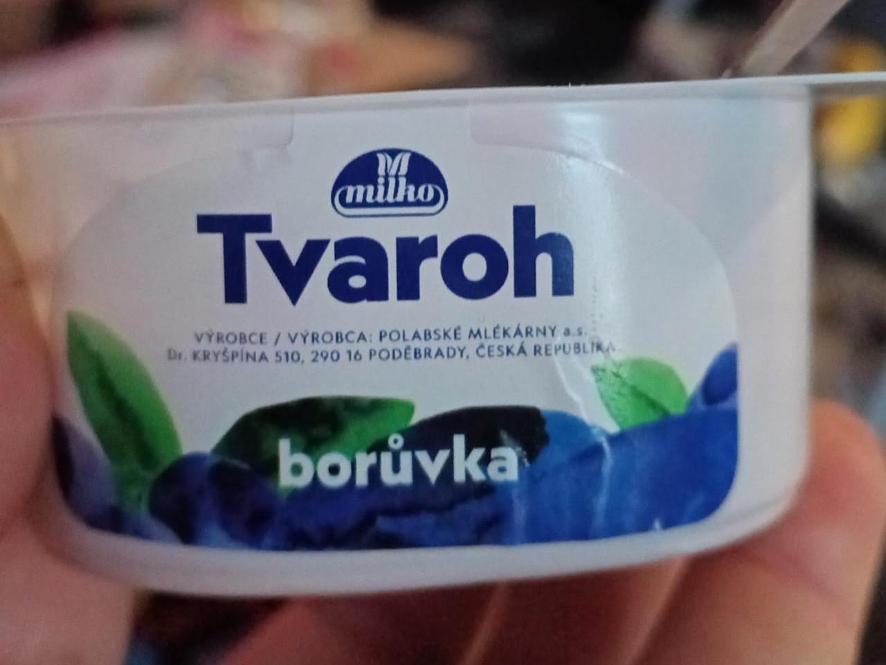 Képek - Tvaroh borůvka Milko