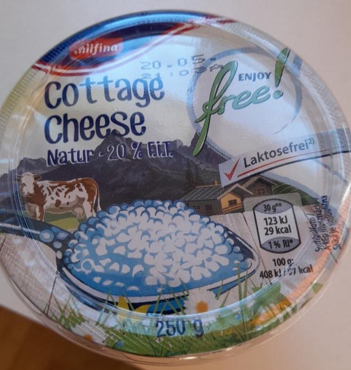 Képek - Cottage Cheese laktózmentes Milfina