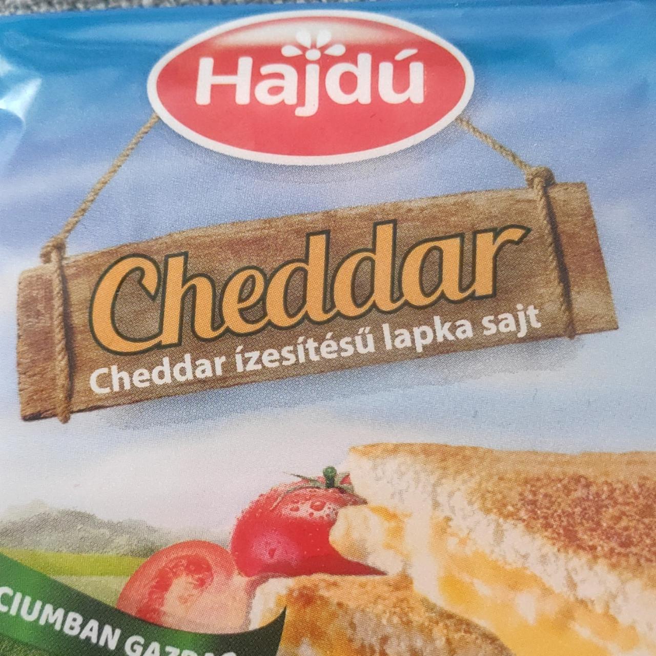 Képek - Cheddar lapka sajt Hajdú